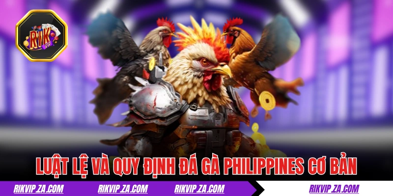 Đá Gà Philippines - Thiên Đường Của Giới Chọi Kê Hợp Pháp 2 Luật lệ và quy định đá gà Philippines cơ bản