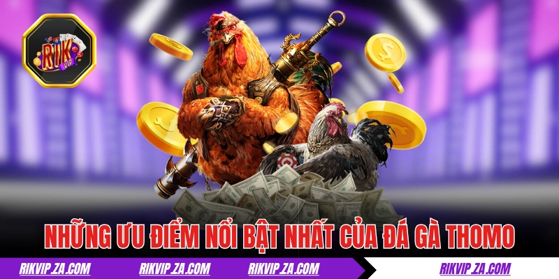 Đá Gà Thomo - Chuẩn Mực Của Giới Chọi Kê Chuyên Nghiệp 2 Những ưu điểm dễ nhận thấy nhất của đá gà Thomo